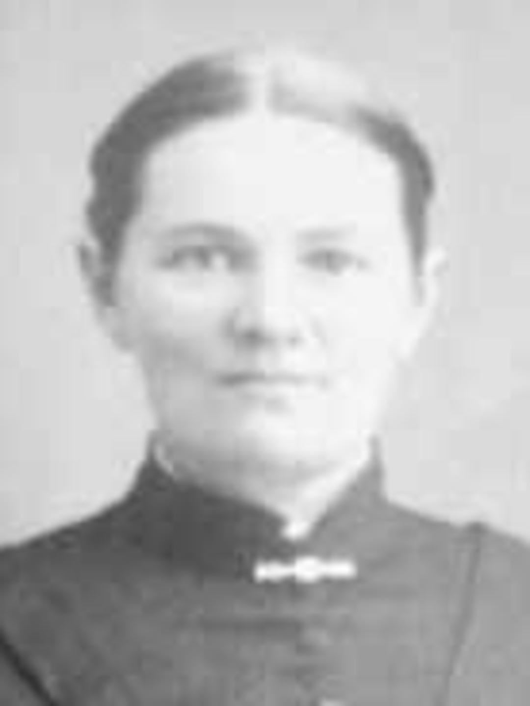 Alice Jeanette Tippets (1844 - 1914) Profile